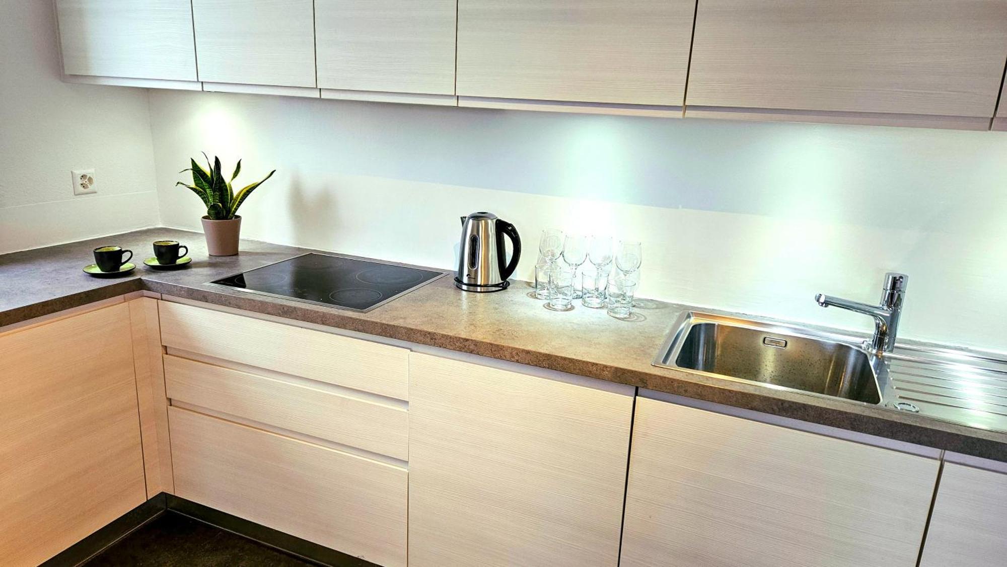 לוגאנו Bellavista Apartment With Free Parking מראה חיצוני תמונה